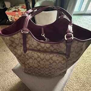 Elegant Brown and Purple Women's Hobo Bag